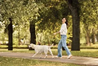 Pet Zone